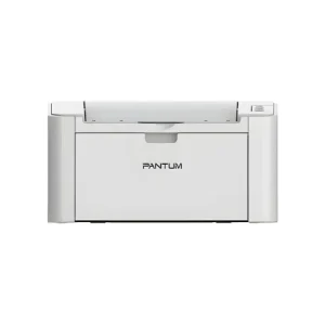 Pantum P2200